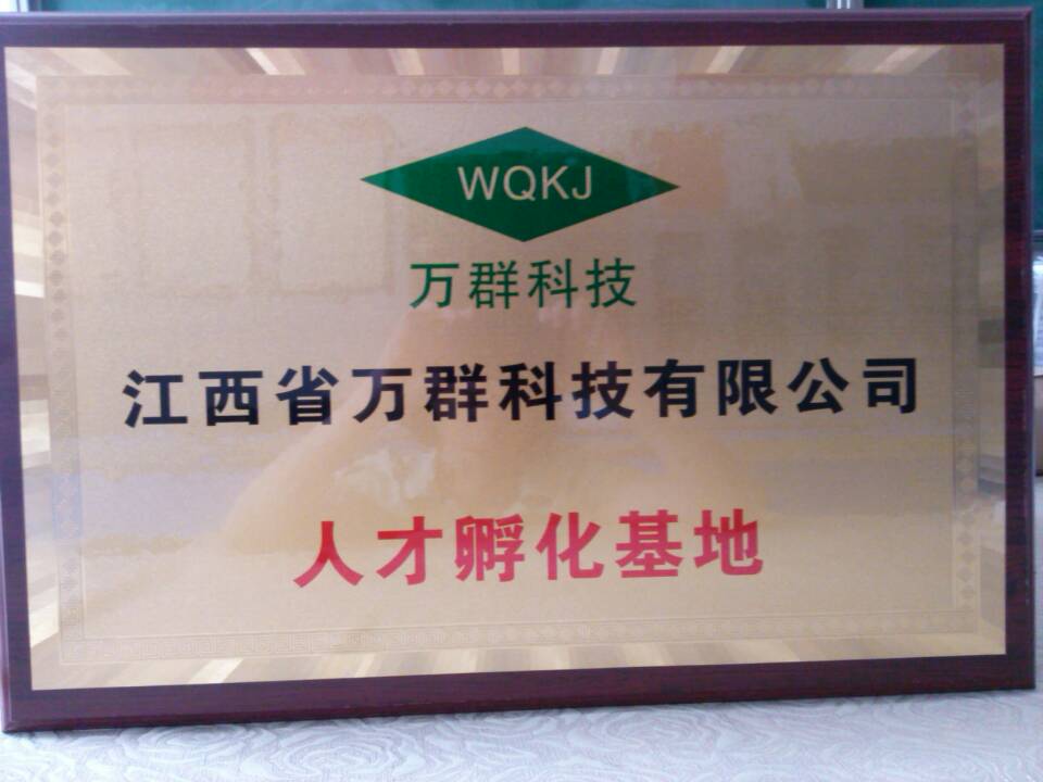 成果展示