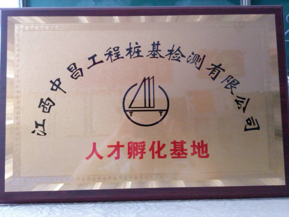 成果展示