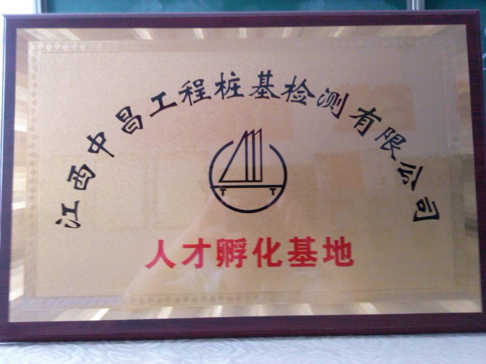 成果展示